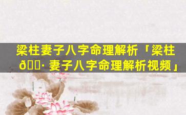 梁柱妻子八字命理解析「梁柱 🌷 妻子八字命理解析视频」